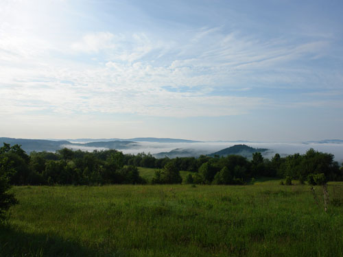 Foto coborand din dealul Mesteacan (c) Petru Goja